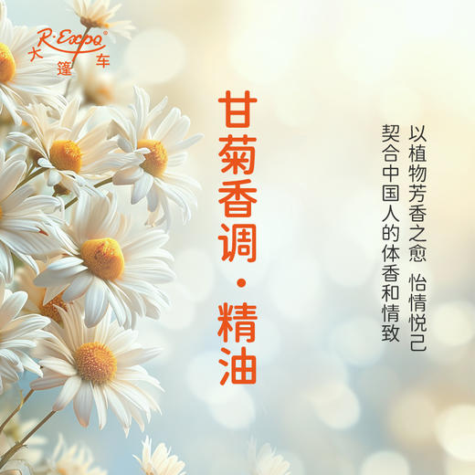 甘菊香调·精油 植物精油适用香水护肤洗护产品空间香氛大篷车精油 商品图3