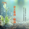 泥土香调·精油 香氛香调精油适用香水油护肤品护体香 大篷车精油 商品缩略图3