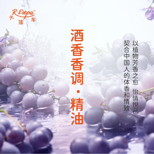 酒香香调·精油 植物精油香氛 适用香水 护肤洗护产品 大篷车精油 商品图3