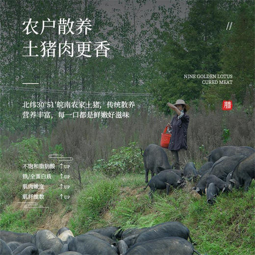 「金九芙」腊肉小丸子（15颗）多层风味 回味无穷 商品图1