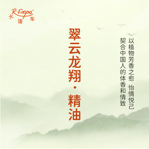 翠云龙翔·精油 古风香调精油 适用香水油护肤护体香 大篷车精油 商品图3