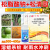 正品大鹏松脂酸钠松清园套餐果树柑橘树矢尖蚧粉介壳虫专用清园剂 商品缩略图3
