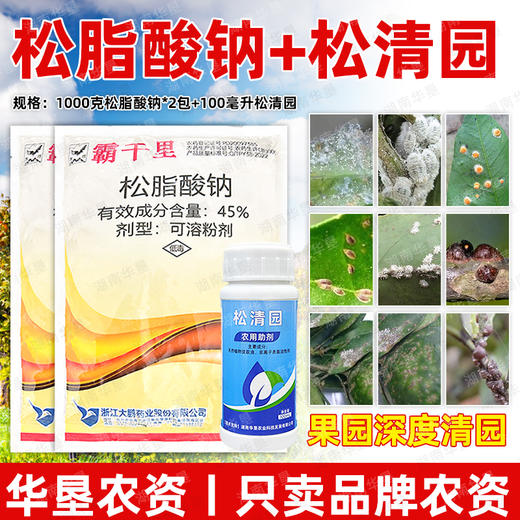 正品大鹏松脂酸钠松清园套餐果树柑橘树矢尖蚧粉介壳虫专用清园剂 商品图2