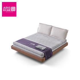 ARIS  智慧睡眠    半岛  皮床