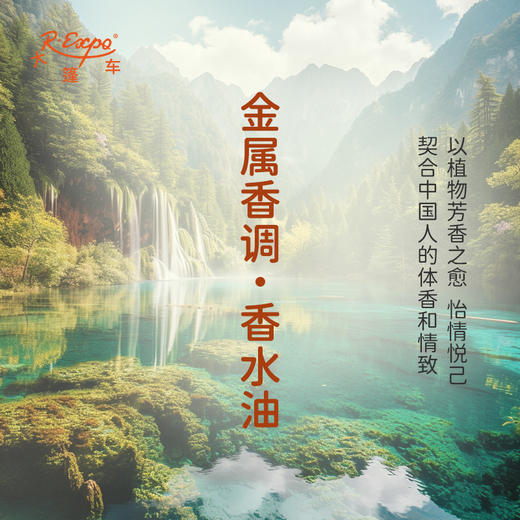 金属香调香水油 植物精油香氛 适用护体香 护手油 润发丝 大篷车精油 商品图3