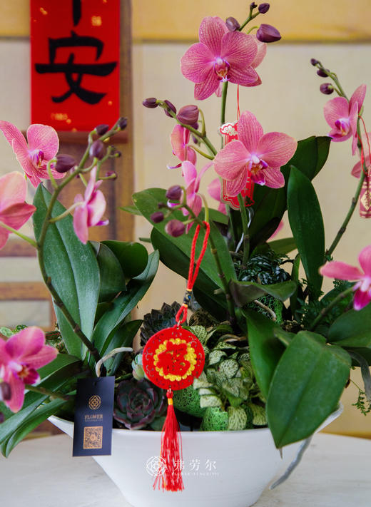 JT拥抱好运 商品图3