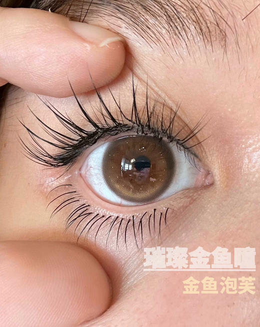 半年抛 Ginomii 金鱼泡芙  14.2 琥珀高光棕 商品图1