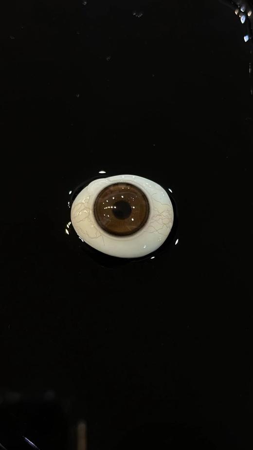 Bollycon半年抛-蜜茶泡泡 商品图7