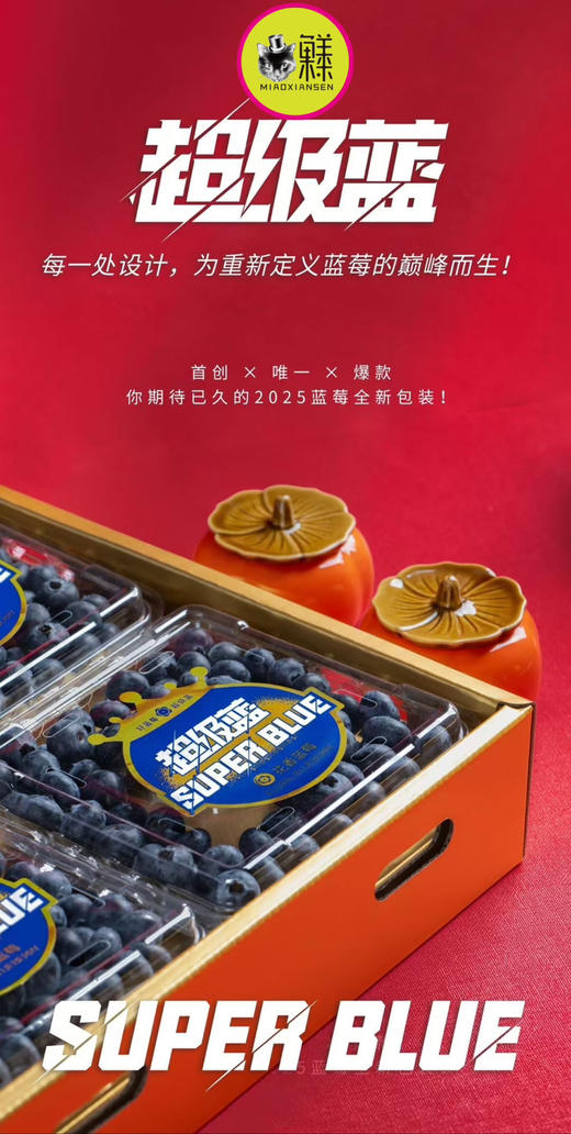喵菓基地 喵眼超级蓝～花香大蓝莓（一盒顶两）250克×4盒礼盒 商品图4