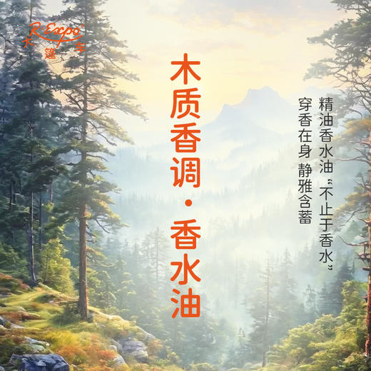 木质香调香水油 适用护体香护手油香润发丝沐浴香 大篷车精油 商品图0