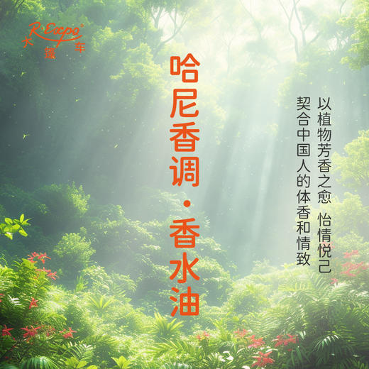哈尼香调香水油 植物精油香氛 适用护体香 护手油 润发丝 大篷车精油 商品图3