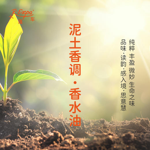 泥土香调香水油 植物精油香氛 适用护体香 护手油 润发丝 大篷车精油 商品图0