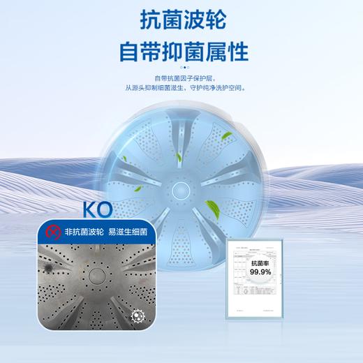 海尔（Haier）波轮洗衣机全自动家用 12公斤大容量Mate1除螨抗菌 去渍洗 商品图6