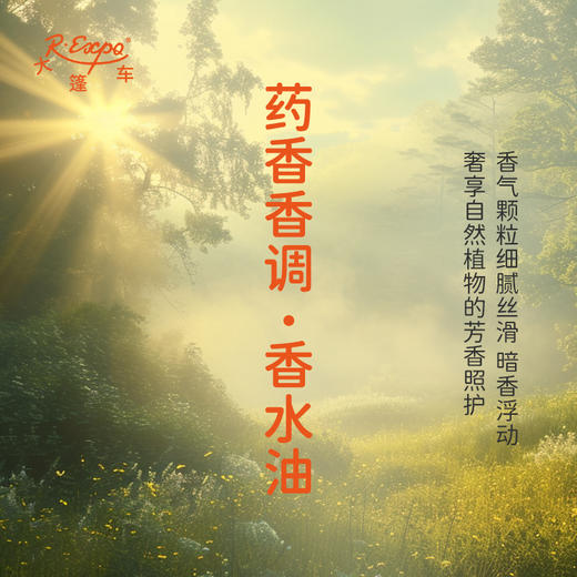 药香香调香水油 植物精油香氛 适用护体香 护手油 润发丝 大篷车精油 商品图1