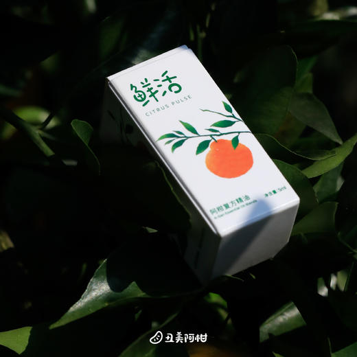 【预售 | 新版研发中，下单不发货，购买请联系客服】阿柑复方精油 / 精油+小柑织（组合装） 商品图1