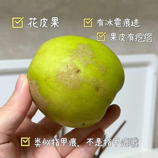 【西双版纳苹果枣】自然树熟 清香脆爽 甜蜜多汁 新鲜美味 4种规格任选 商品图1