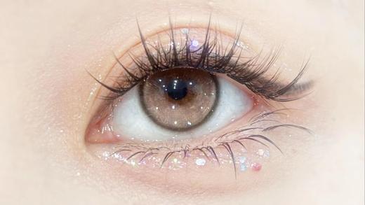 Bollycon半年抛-雀斑甜甜圈 商品图6