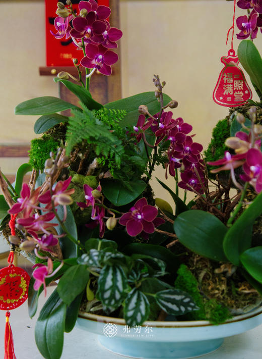 JT锦上添花 商品图3