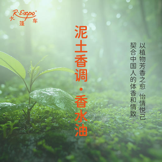 泥土香调香水油 植物精油香氛 适用护体香 护手油 润发丝 大篷车精油 商品图3