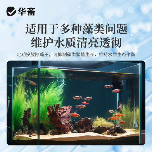 除藻王500ml 商品图2