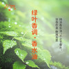 绿叶香调香水油 植物精油香氛 适用护体香 护手油 润发丝 大篷车精油 商品缩略图0