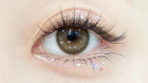 Bollycon半年抛-新芝麻团 商品图1