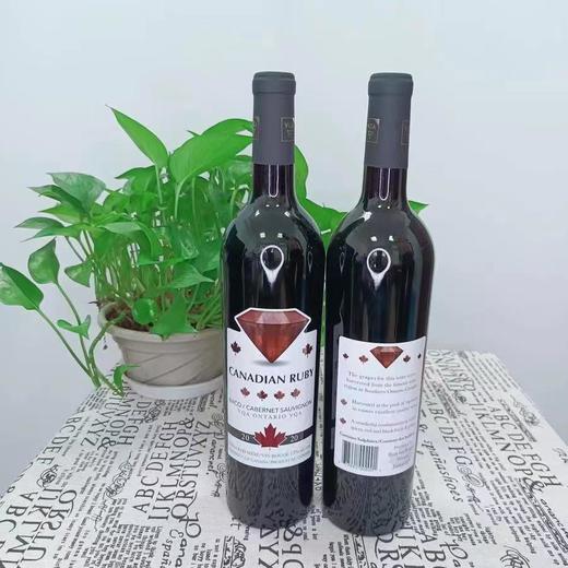 加拿大哈伯酒庄枫叶红宝石干红葡萄酒750ml（一般贸易） 商品图1