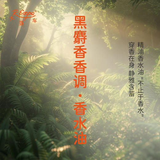 黑麝香香调香水油 植物精油香氛 适用护体香 护手油 润发丝 大篷车精油 商品图0