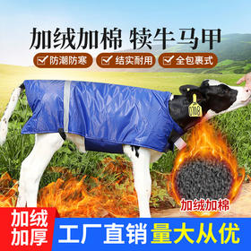 华畜 牛犊马甲加绒款 双面防水面料 持久恒温 加厚裹腹设计