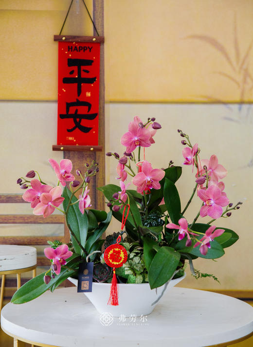 JT拥抱好运 商品图0