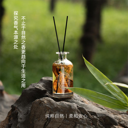 无火香薰丨苏塔里增香无火香薰精油藤条扩香清新卧室室内 礼品生日 商品图1