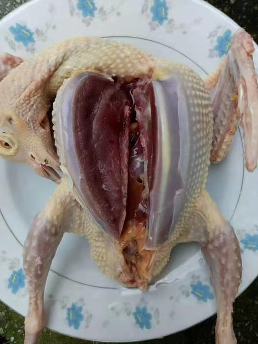 每周五配送，周四晚上8点截单＃鸽子，18月龄嫩鸽/五年老鸽，纯粮食喂养，冬季滋补好食材。产妇孕妇手术后康复人群，年老体弱及儿童，都很合适！ 商品图3