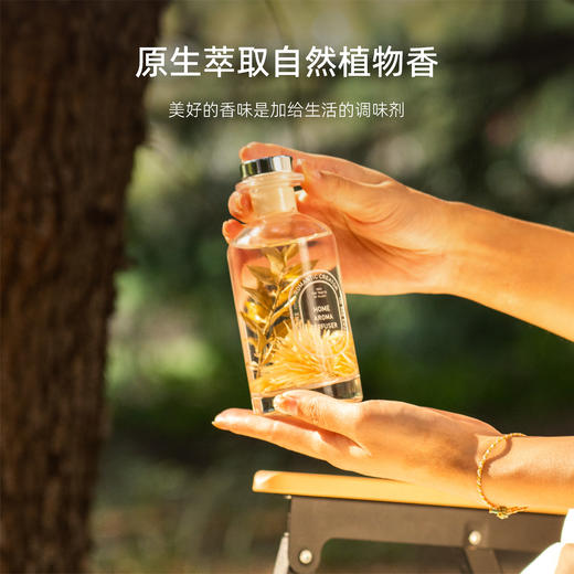无火香薰丨苏塔里增香无火香薰精油藤条扩香清新卧室室内 礼品生日 商品图2
