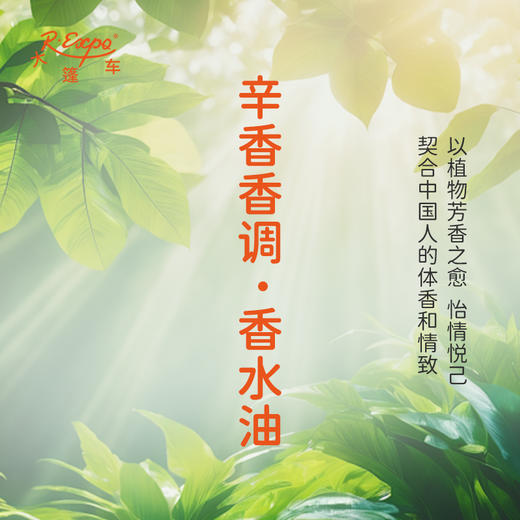 辛香香调香水油 植物精油香氛 适用护体香 护手油 润发丝 大篷车精油 商品图3