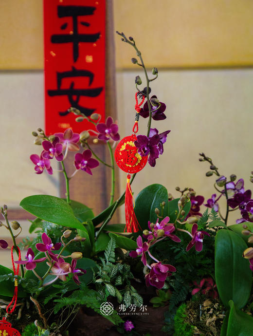 JT百业兴旺 商品图3