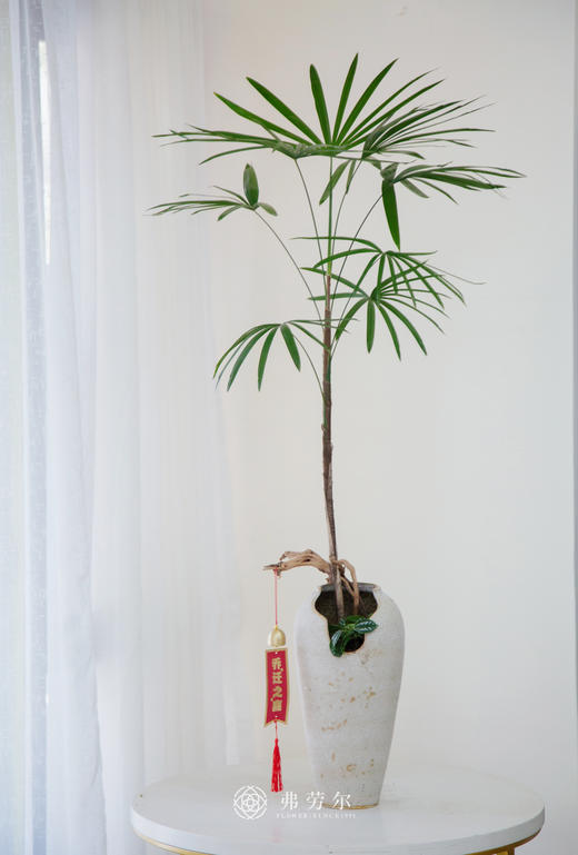 台面金山棕 商品图0