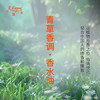 青草香调香水油 植物精油香氛 适用护体香 护手油 润发丝 大篷车精油 商品缩略图3