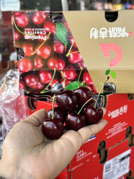 周四取货：【大G桑提娜单J车厘子】甜度高，多汁！ 商品图1