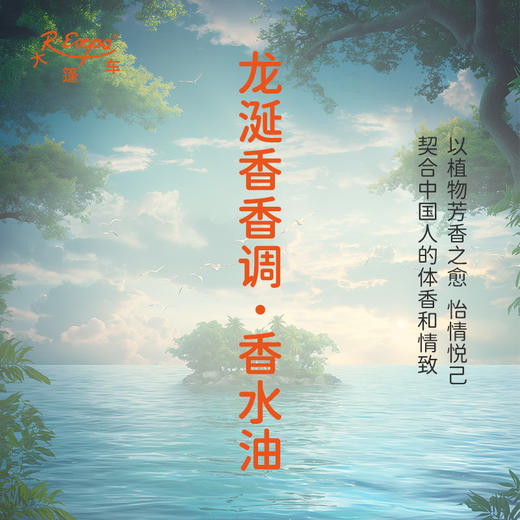 龙涎香香调香水油 植物精油香氛 适用护体香 护手油 润发丝 大篷车精油 商品图3