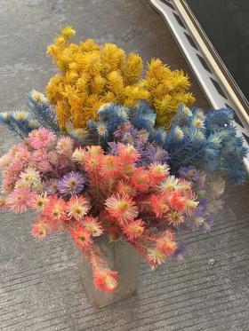 同城甄选精品花材金鹅绒企鹅绒染色金丝绒一扎