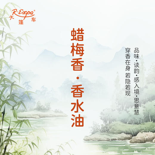 蜡梅香香水油  古风香调 植物精油香氛 适用护体香 护手油 润发丝 大篷车精油 商品图1