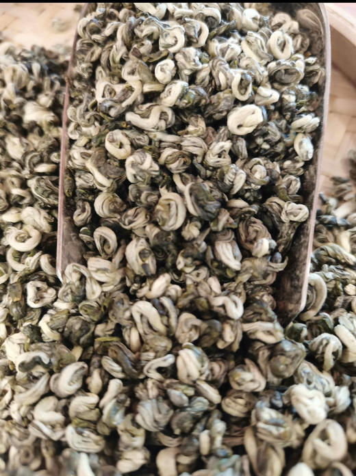 云南雪螺2024新茶绿茶 半斤250克桶装 商品图3