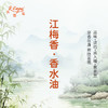 江梅香香水油  古风香调 植物精油香氛 适用护体香 护手油 润发丝 大篷车精油 商品缩略图1