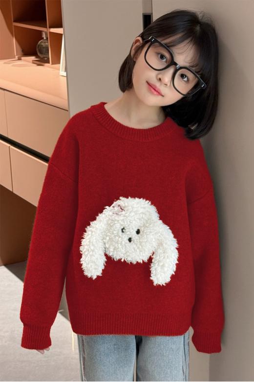 🌸糯叽叽 🎈肉眼可见的好质感 挑选一件既保暖🥰又充满童趣的衣物吧🔥【儿童立体卡通小狗圆领针织毛衣💖】将萌宠元素与时尚设计🎉完美融合 🎁让孩子秒变冬日里耀眼✨的小明星 商品图5