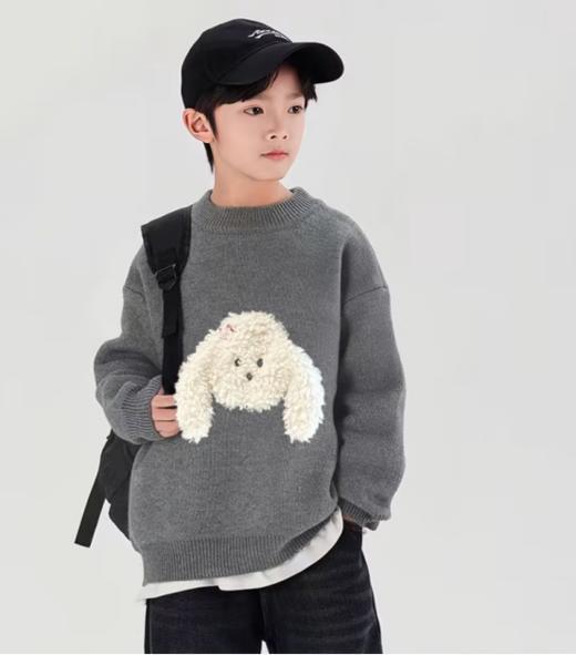 🌸糯叽叽 🎈肉眼可见的好质感 挑选一件既保暖🥰又充满童趣的衣物吧🔥【儿童立体卡通小狗圆领针织毛衣💖】将萌宠元素与时尚设计🎉完美融合 🎁让孩子秒变冬日里耀眼✨的小明星 商品图4