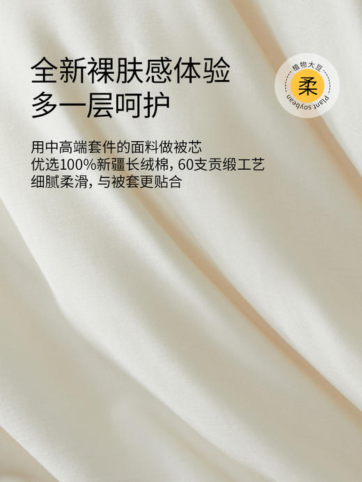 佳丽斯大豆纤维被子全棉a类单人春秋被冬被加厚保暖被芯四季通用 商品图7