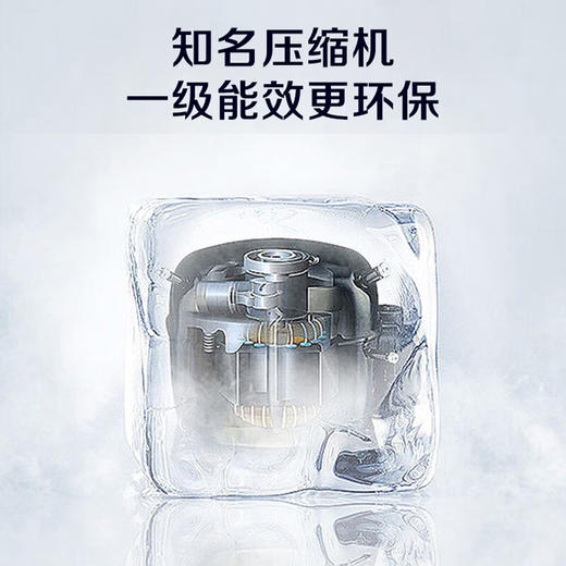 容声249升大容量冷柜家用商用保鲜冷冻两用节能减霜 灰色BD/BC-249ZEAM/RX 商品图3