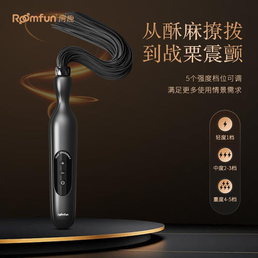 roomfun房趣 电散鞭 电滋棒下体调教男刑奴重度女用重口味情趣用品SM性道具 商品图6