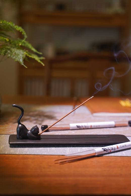 【新品发售】青柏传香普照净宅香 正装20g 商品图2