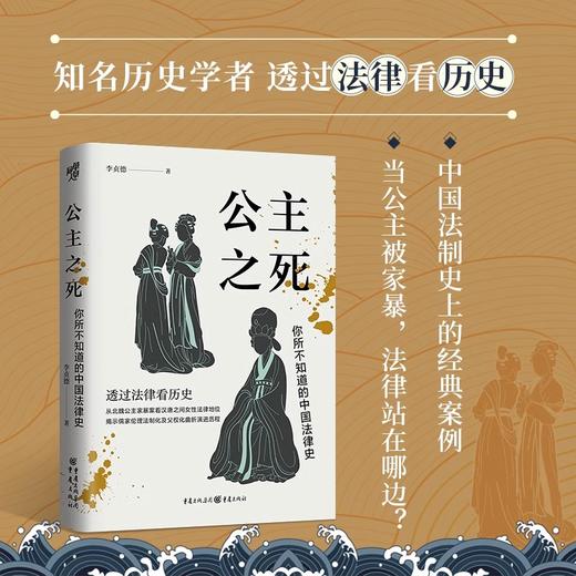 公主之死 你所不知道的中国法律史 商品图2